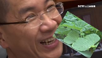 誤食姑婆芋中毒　徐國勇首度露面說…