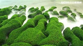 石門老梅綠石槽。（圖／健保署提供）