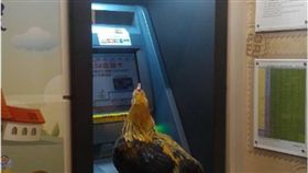 提款機,雞,批踢踢,PTT,郵局,自動櫃員機　圖／翻攝自PTT