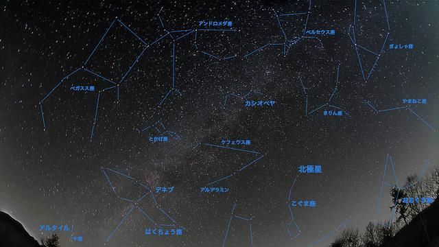 星座分析都很準？這篇實測文狠打臉