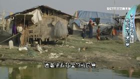 (短版)蘇姬是暴君SOT