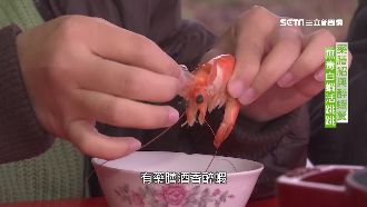 特選無毒白蝦　藥膳紹興醉蝦超鮮甜