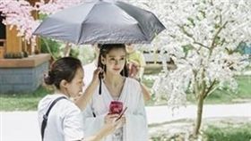 Angelababy,楊穎（圖／翻攝自騰訊娛樂）