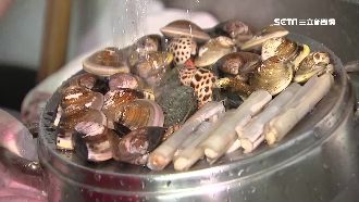 台南海鮮塔攻台北　五層蒸煮疊「鮮」