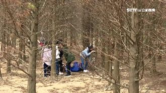 祕境「落羽松」亂象　垃圾丟滿地