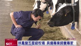 林鳳營五星級牧場提供寬敞飼養活動空間