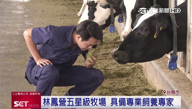 林鳳營五星級牧場　寬敞空間養健康牛