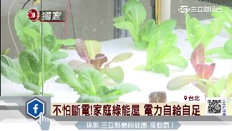 「綠能屋」自產電　回賣台電還有賺
