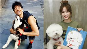 蔡依林分手後洩心情　直言「沒什麼不能放下的」。資料來源：蔡依林、錦榮臉書