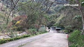 去年付訂要露營　前一晚竟遭業者放鳥