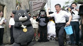 木柵動物園新成員　台北市長柯文哲搶先看　
波蘭歐普勒動物園(Opole Zoo)的18歲雄性金剛猩猩「迪亞哥」
北市府提供