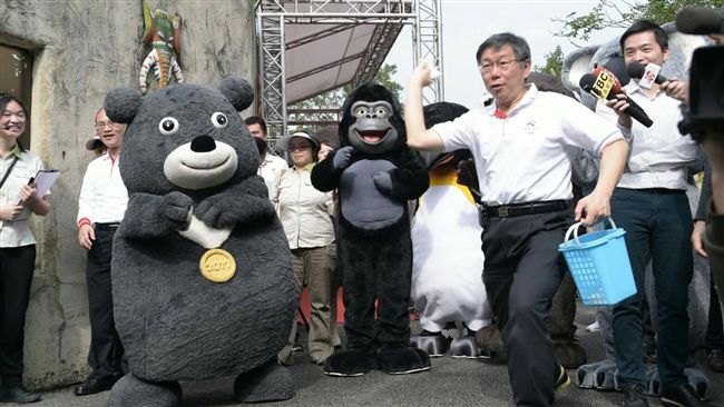 動物園新成員　金剛猩猩「迪亞哥」