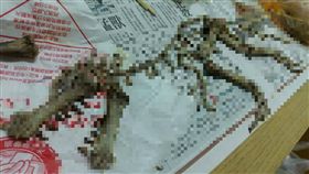 雞骨頭 恐龍
爆料公社 