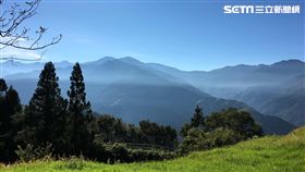 清境農場,走春,旅遊,過年,國旅（圖／雄獅旅遊提供）