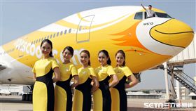 酷鳥航空。（圖／酷鳥航提供）