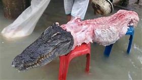 泰國連日水患，鱷魚趁隙偷溜出圍籬，卻被居民射殺當成大餐。（圖／翻攝自《泰國世界日報》）