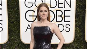艾美亞當斯　amy adams （圖／美聯社／達志影像）