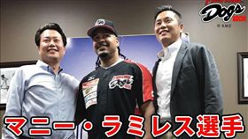 曼尼加盟高知鬥犬（圖／翻攝自高知鬥犬臉書）