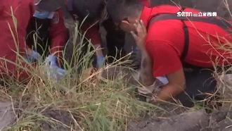 騎士遭撞亡　家屬控肇事者裝窮神隱