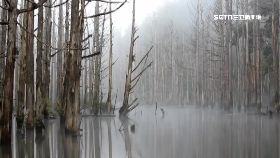 F水漾摔破頭1200