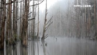 登水漾森林摔倒　53歲媽媽頭破血流