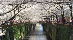 就買機加酒！追雪到賞櫻　日本景點推薦大公開