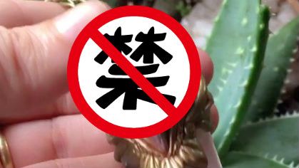 挑戰視覺感官　「妹妹」項鍊供不應求