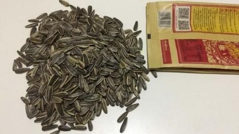不滿室友嗑瓜子沒揪　他居然這樣報復