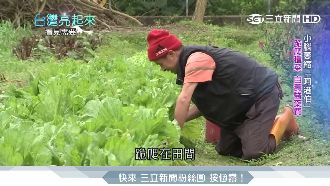 小腦萎縮「阿港伯」　跪爬種菜不服輸