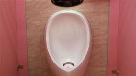 大陸,陝西,師大,女廁,小便器,站立,導流器(搜狐新聞 http://news.sohu.com/20170110/n478338217.shtml)