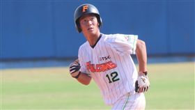 何紹彬（圖／經紀公司提供）