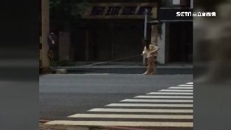 拒付車禍鑑定費　女摸黑丈量嚇壞路人