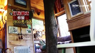 共享經濟夯！歐式古堡、樹屋任你租