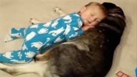 小寶寶和月月躺在一起。（圖／翻攝自Kyoot Kids YouTube）
