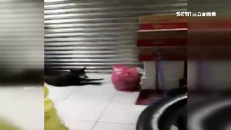 檳榔攤借個廁所　店家關燈打烊忘記他