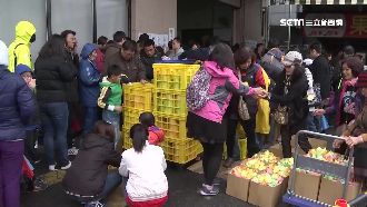 果凍廠限量特賣　12公斤僅250元