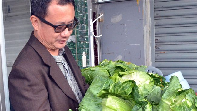 不畏價格崩　賴坤成賣出4千顆高麗菜