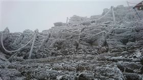 玉山,霧淞 圖／玉管處提供／中央社