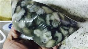 蚵仔,鮮蚵,攤商,嘉義,布袋,魚市,(爆料公社 https://www.facebook.com/photo.php?fbid=1387247637960390&set=gm.1094088577389973&type=3&theater)