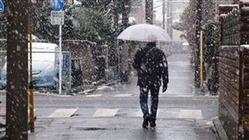 東京,下雪,初雪,11月雪　圖／中央社