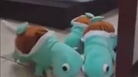 ▲貓咪變身傑尼龜。（圖／翻攝自GameSpot臉書）
https://www.facebook.com/GameSpot/videos/10158110760255436/