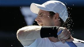 ▲Murray（圖／美聯社／達志影像）