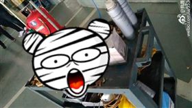 老鼠車內囤滿花生被清空（圖／微博）