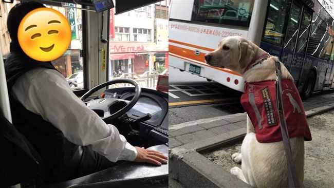 導盲犬搭公車　司機不拒載暖心這麼做