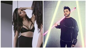 威肯、席琳娜（Selena Gomez）
圖／環球西洋提供