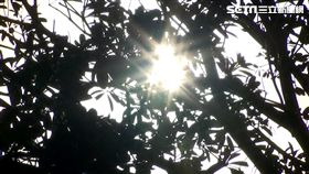 太陽、陽光、回暖、晴天、氣象示意圖