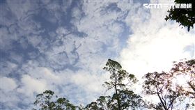 太陽、陽光、回暖、晴天、氣象示意圖