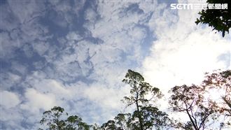 明日東北風減弱　周四五迎溫暖好天氣