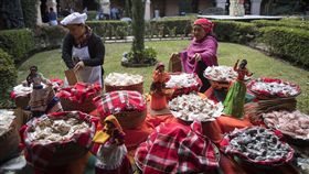 蔡英文出訪　總統府提供