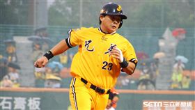 ▲中信兄弟彭政閔（資料照／記者王怡翔攝）